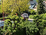 Loorain Rueschlikon