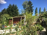Pergola aus Bambus, Neubau
