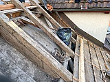 Steildach Sanierung, Wallenbachstrasse Wetzikon